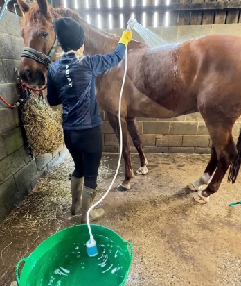 Parfait pour les chevaux